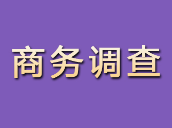 武安商务调查